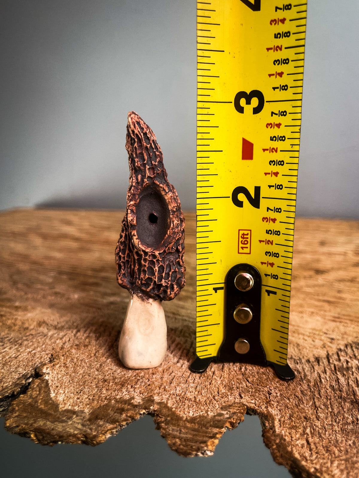 Small Morel mushroom pipe #4