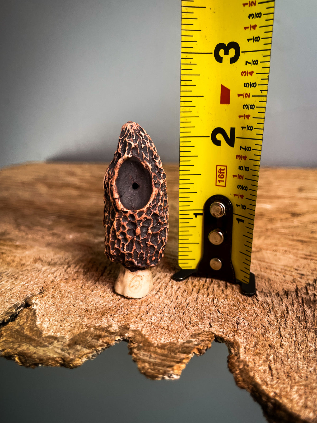 Small Morel mushroom pipe #3