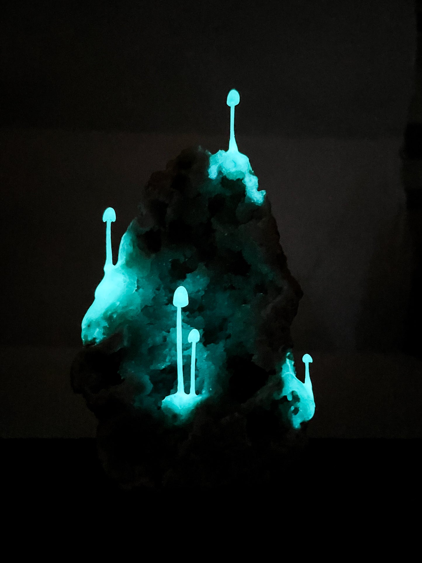 Geode and polymer Glow In The Dark mushroom sculpture