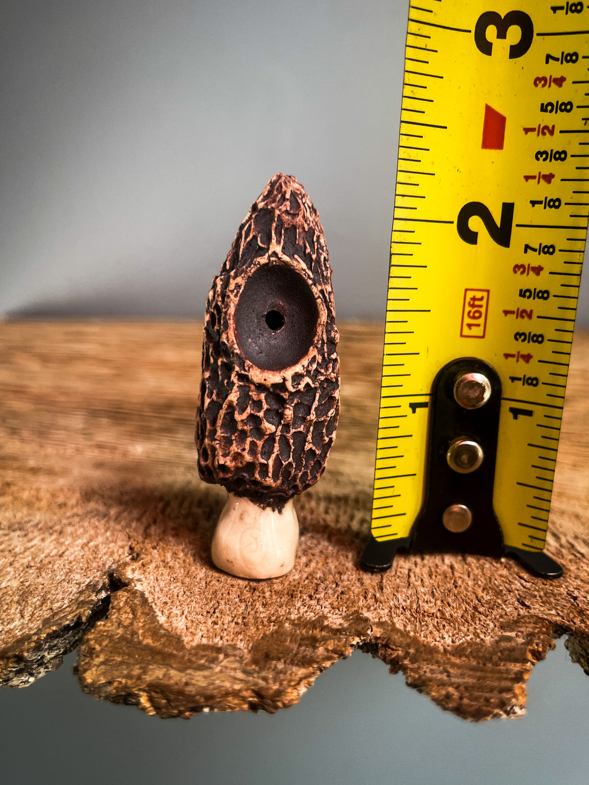 Small Morel mushroom pipe #2