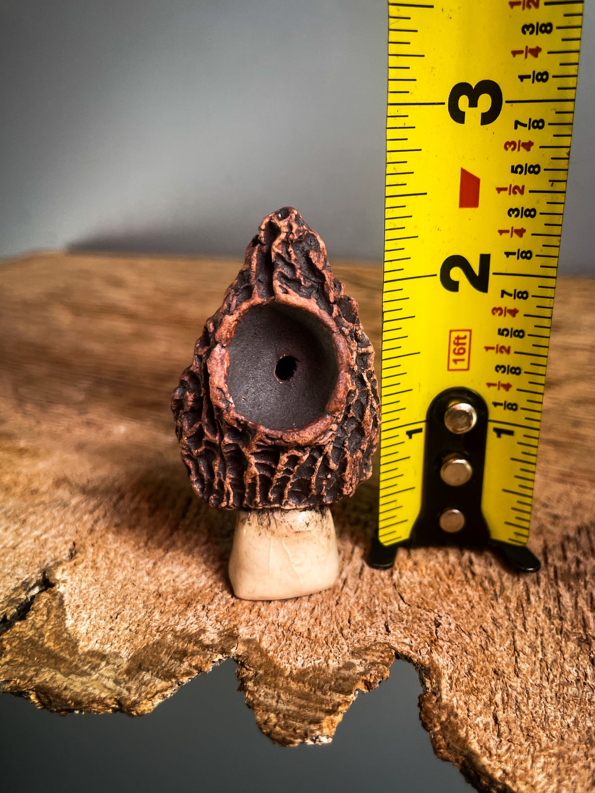 Small Morel mushroom pipe #6