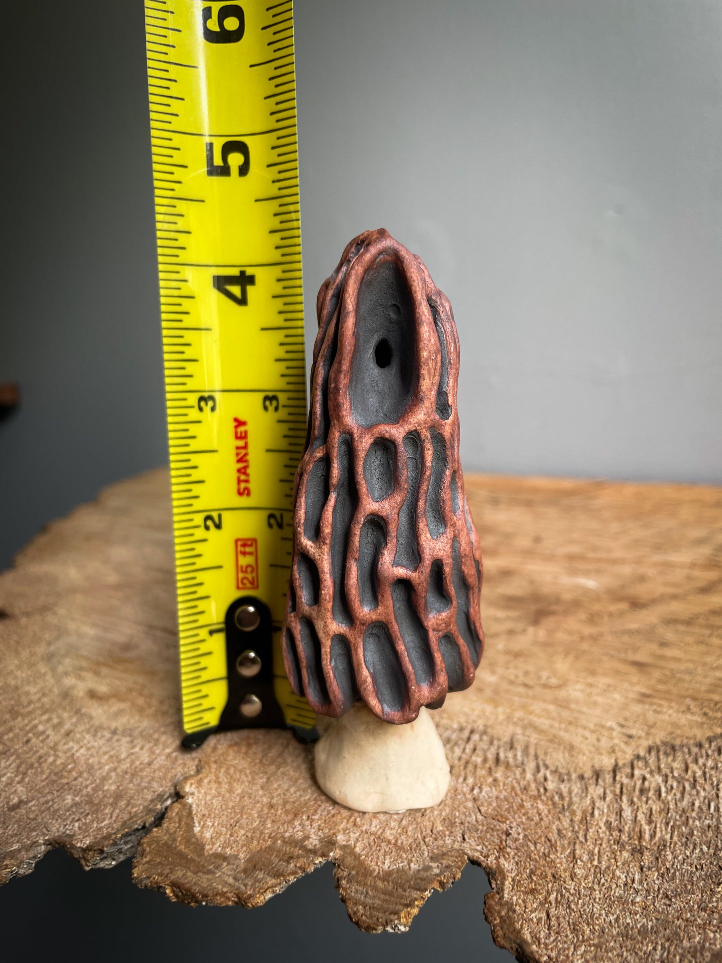 Small Morel mushroom pipe #6