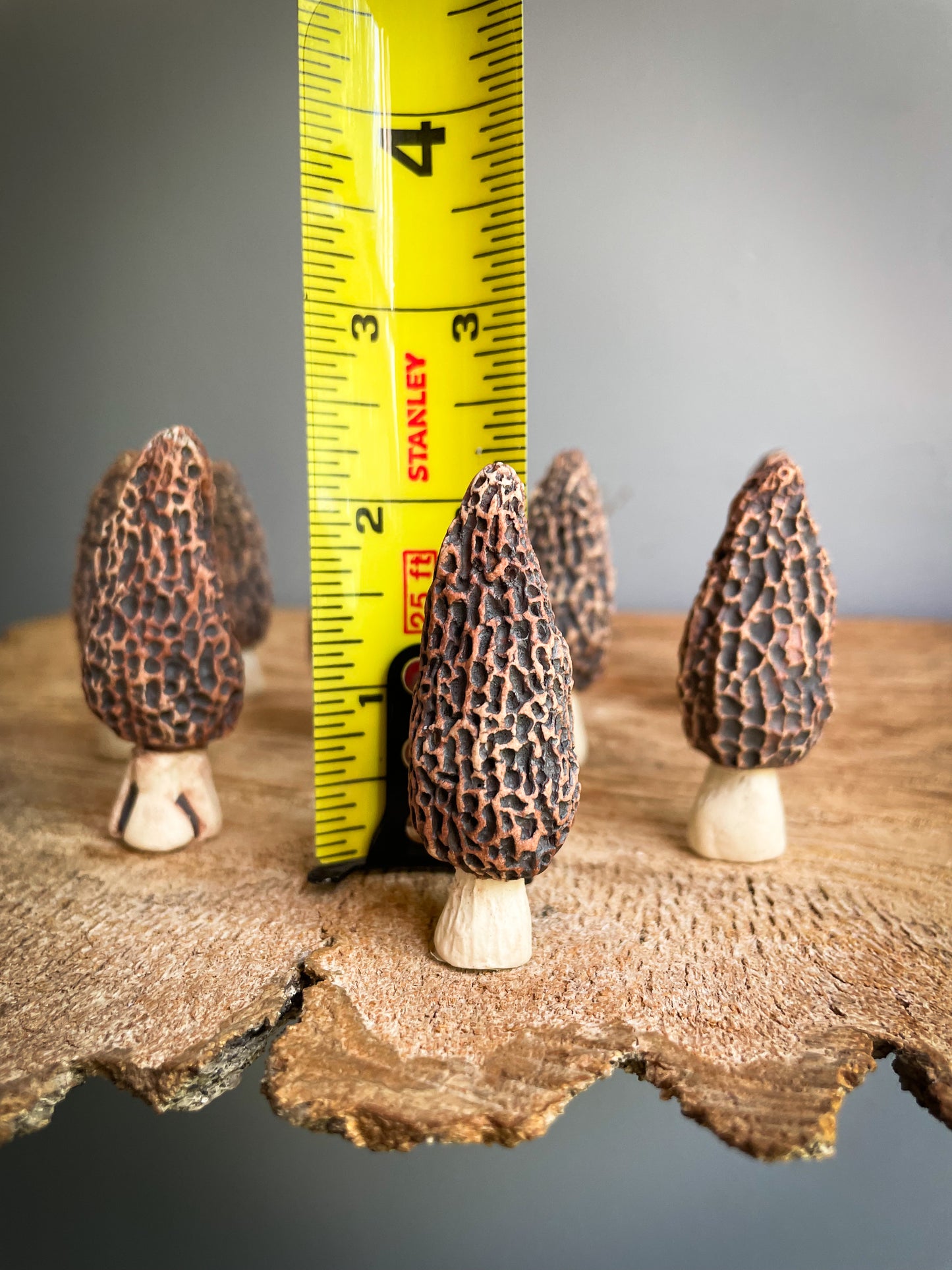 Small Morel mushroom pipe #4