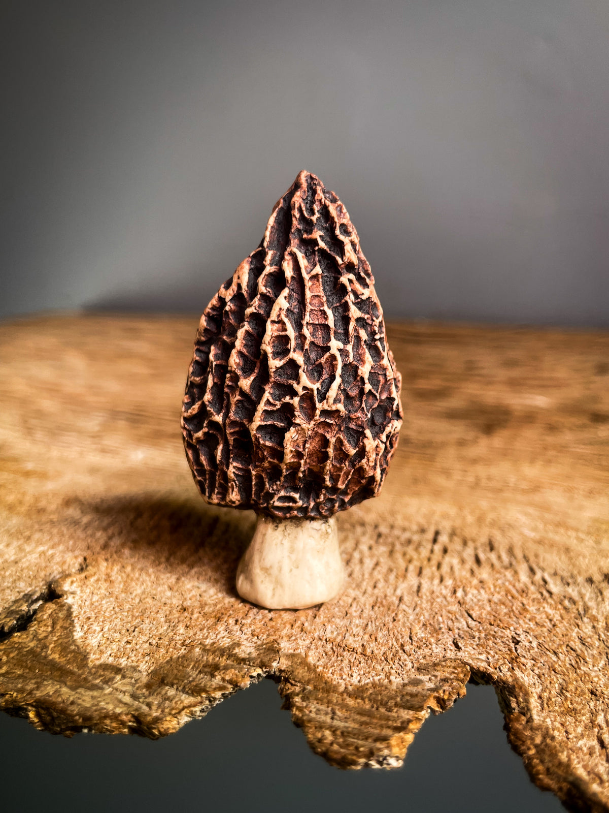 Small Morel mushroom pipe #5