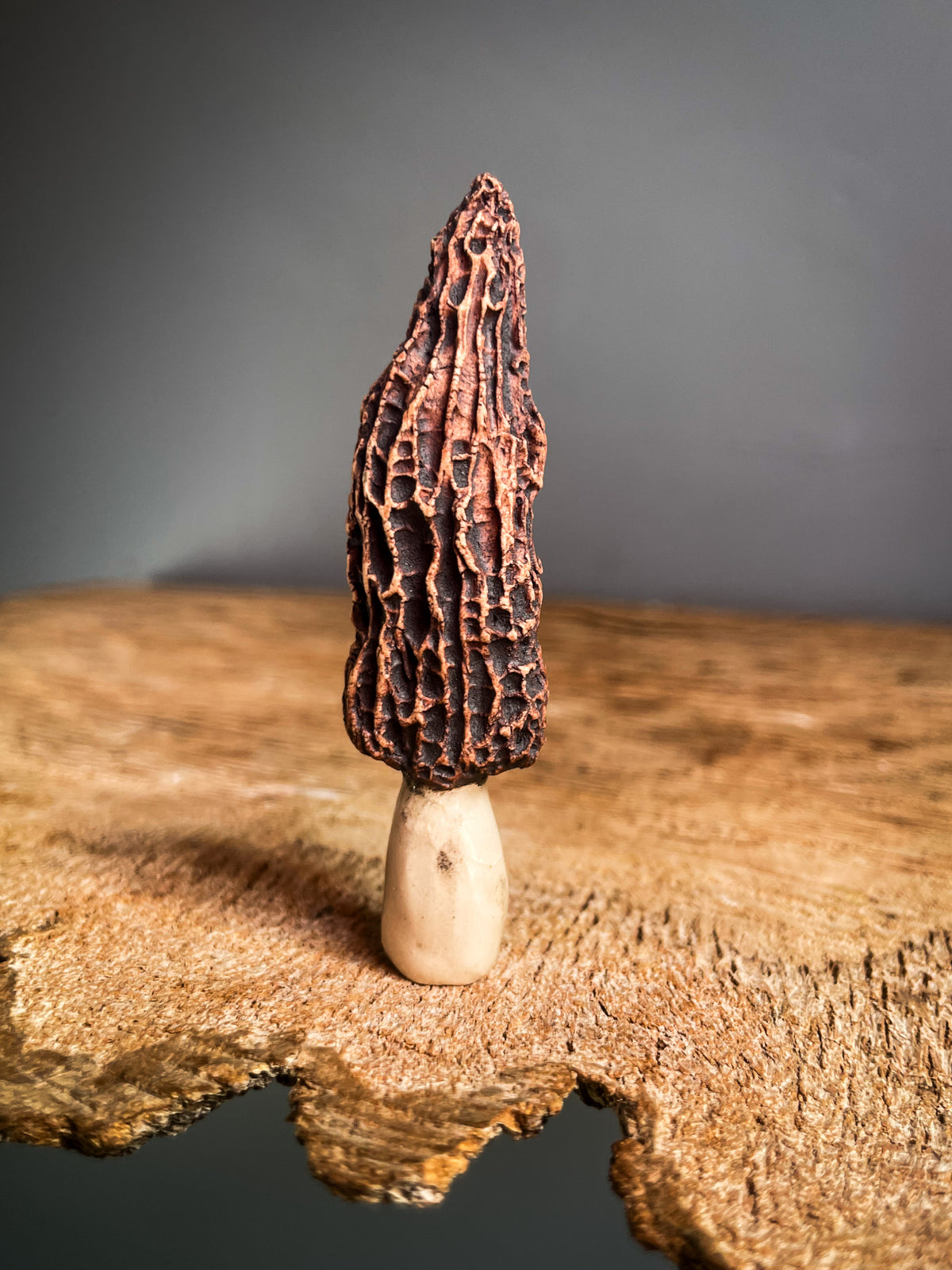 Small Morel mushroom pipe #10