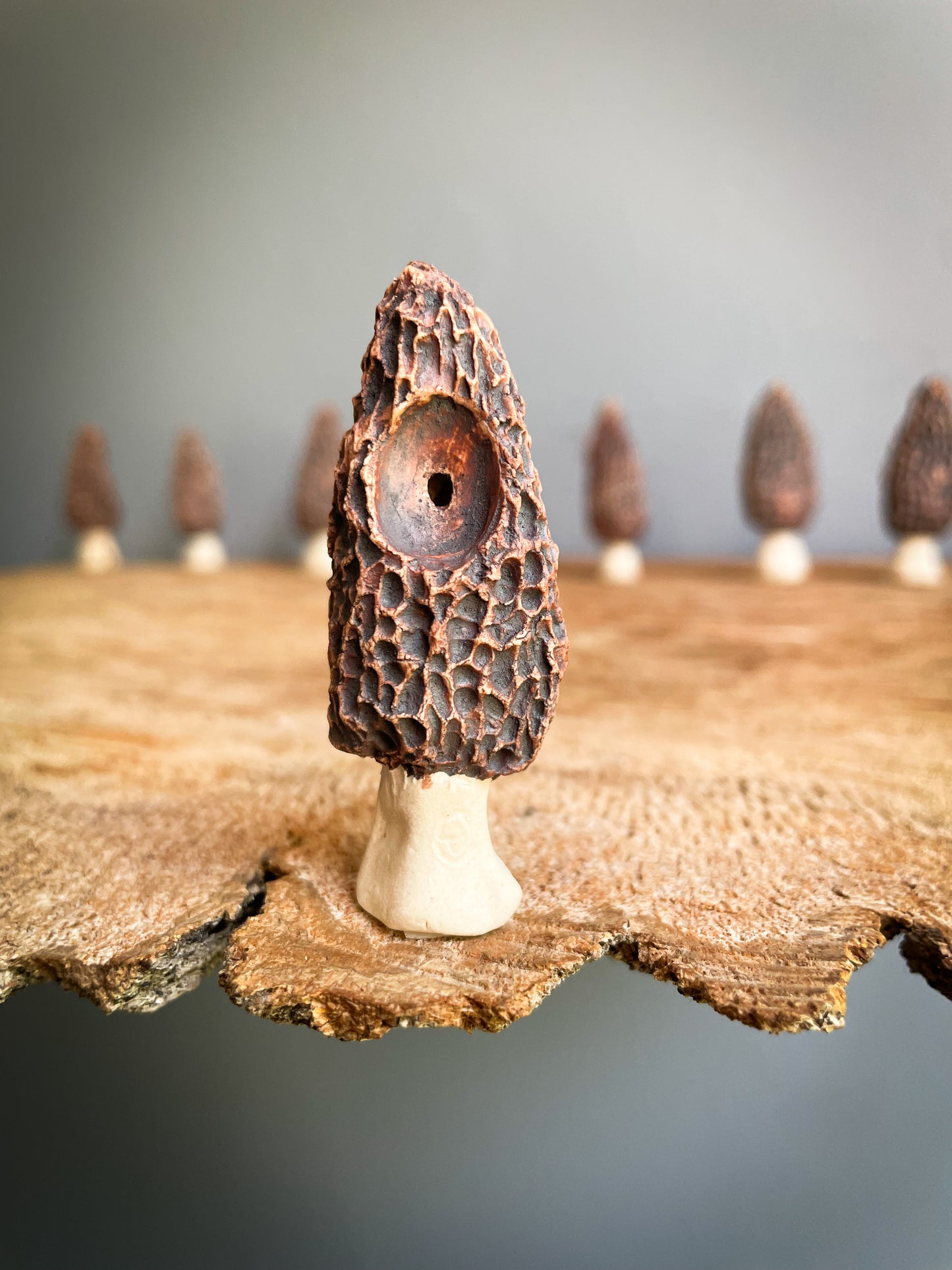 Small Morel mushroom pipe #4