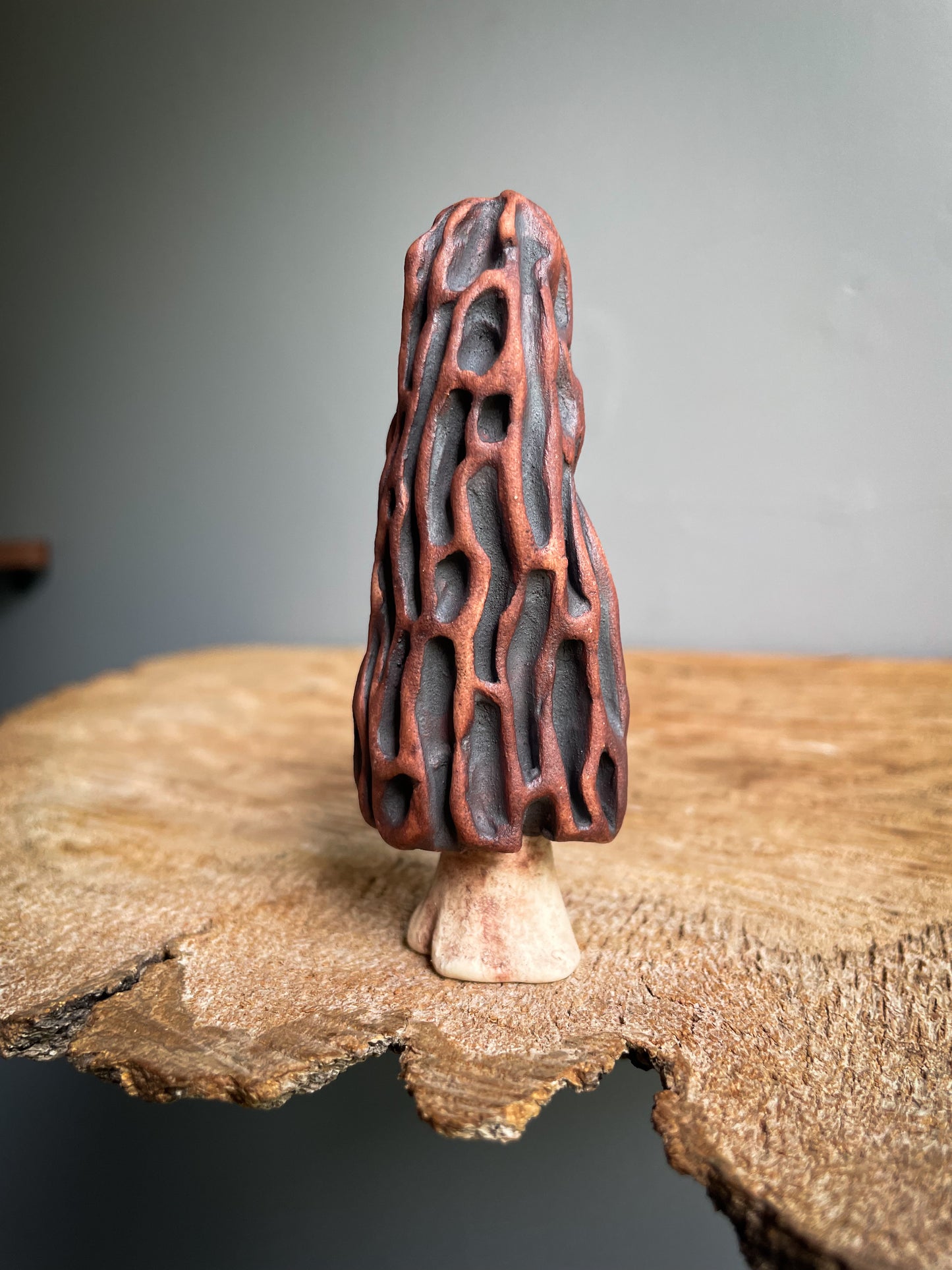 Small Morel mushroom pipe #3