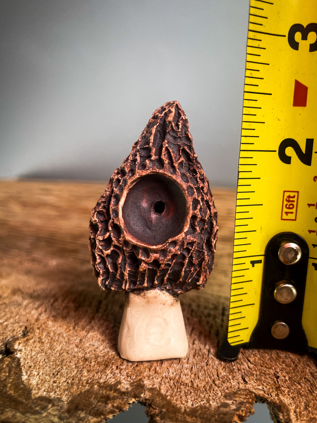 Small Morel mushroom pipe #8