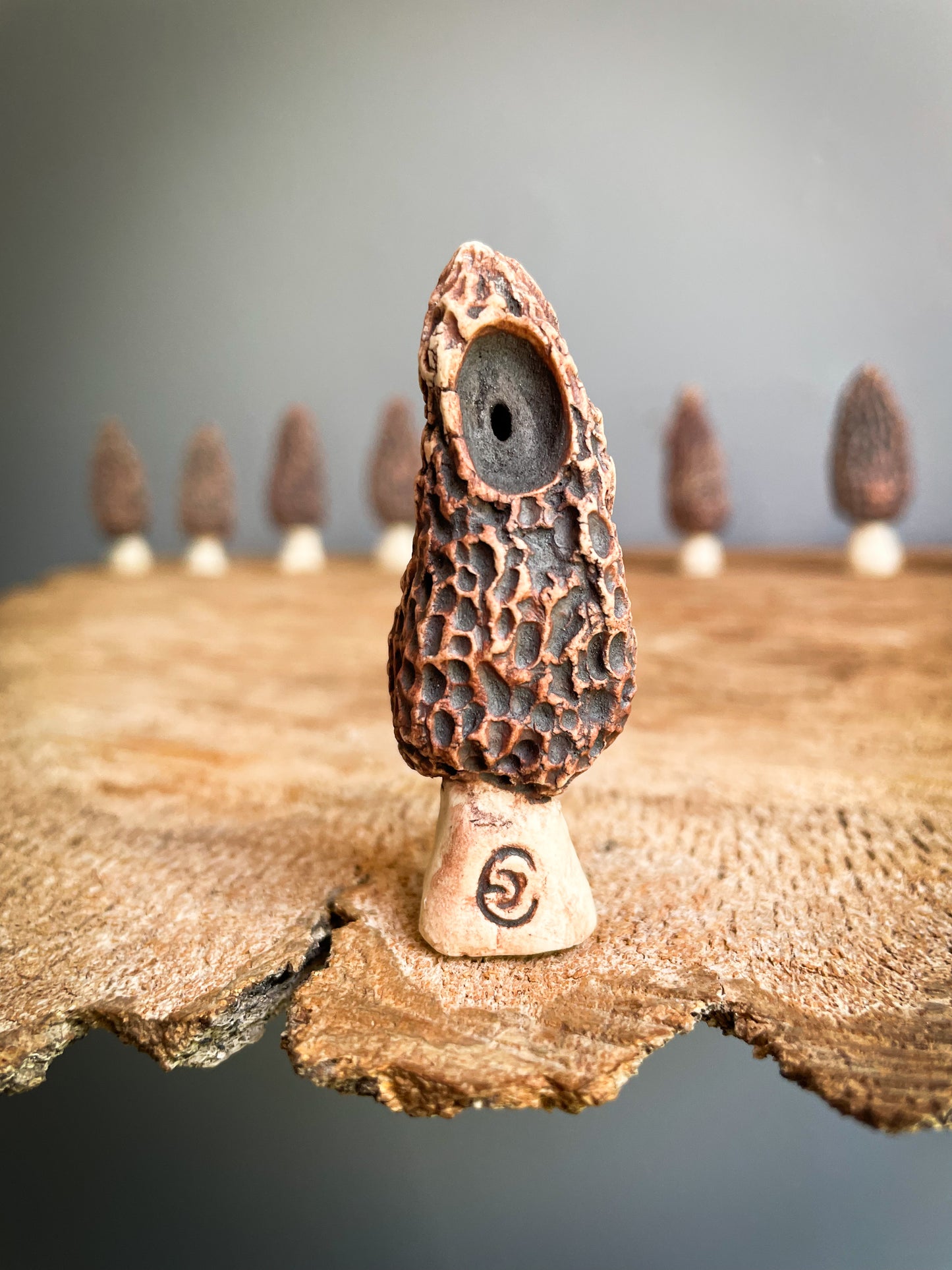 Small Morel mushroom pipe #1