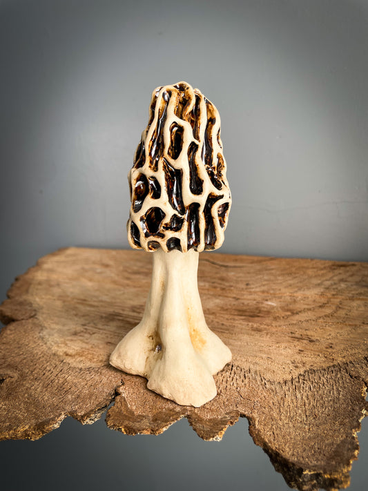 Small Morel mushroom Spore Dispersal Incense Burner