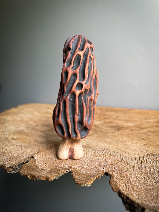 Small Morel mushroom pipe #1