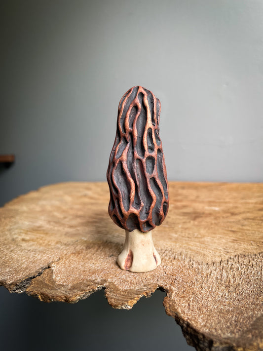 Small Morel mushroom pipe #4