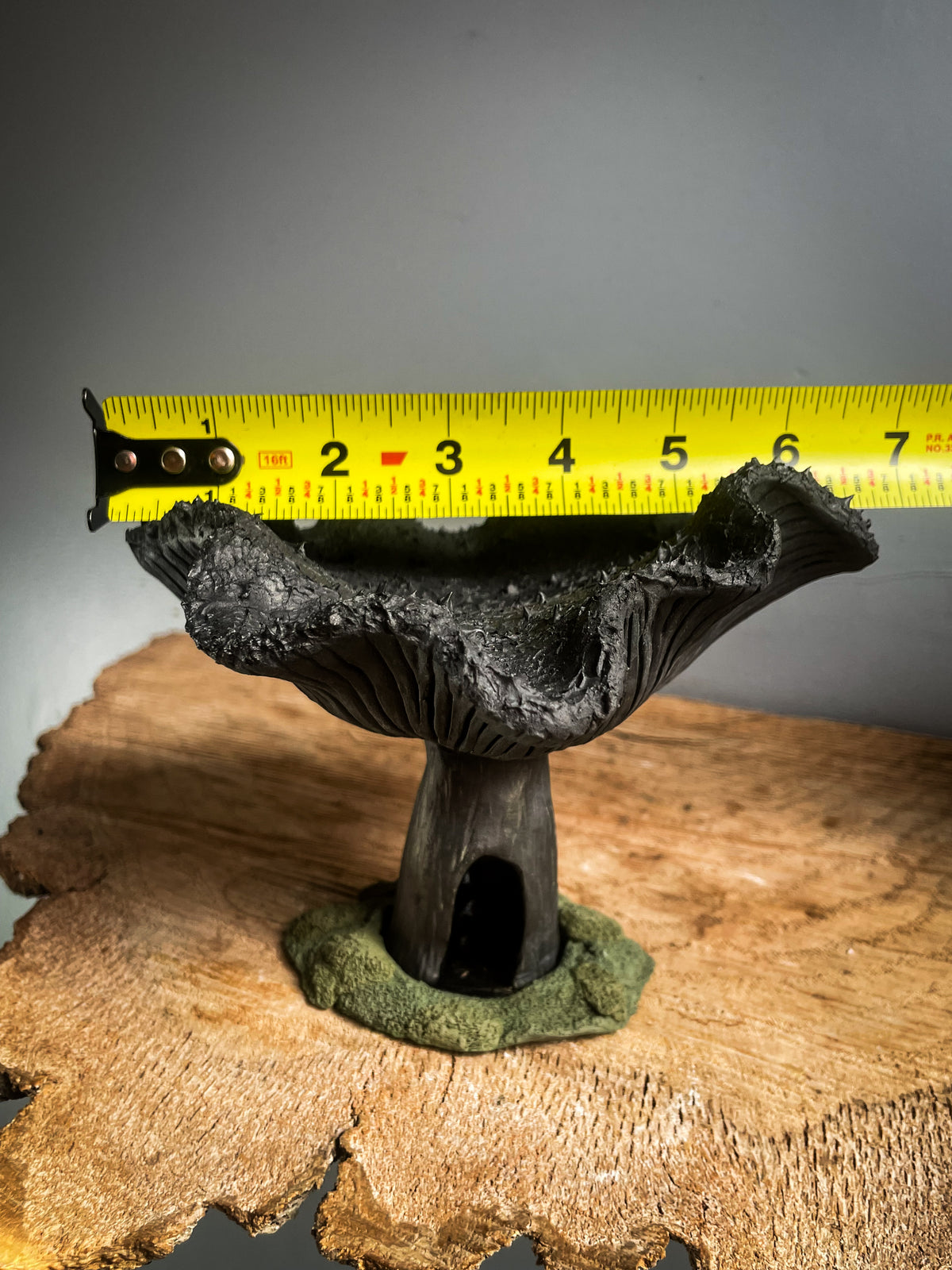 Enteloma Spore Dispersal Incense Burner