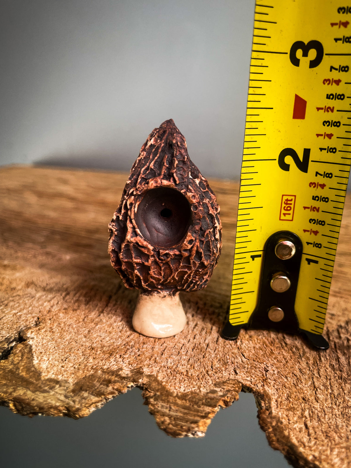 Small Morel mushroom pipe #5