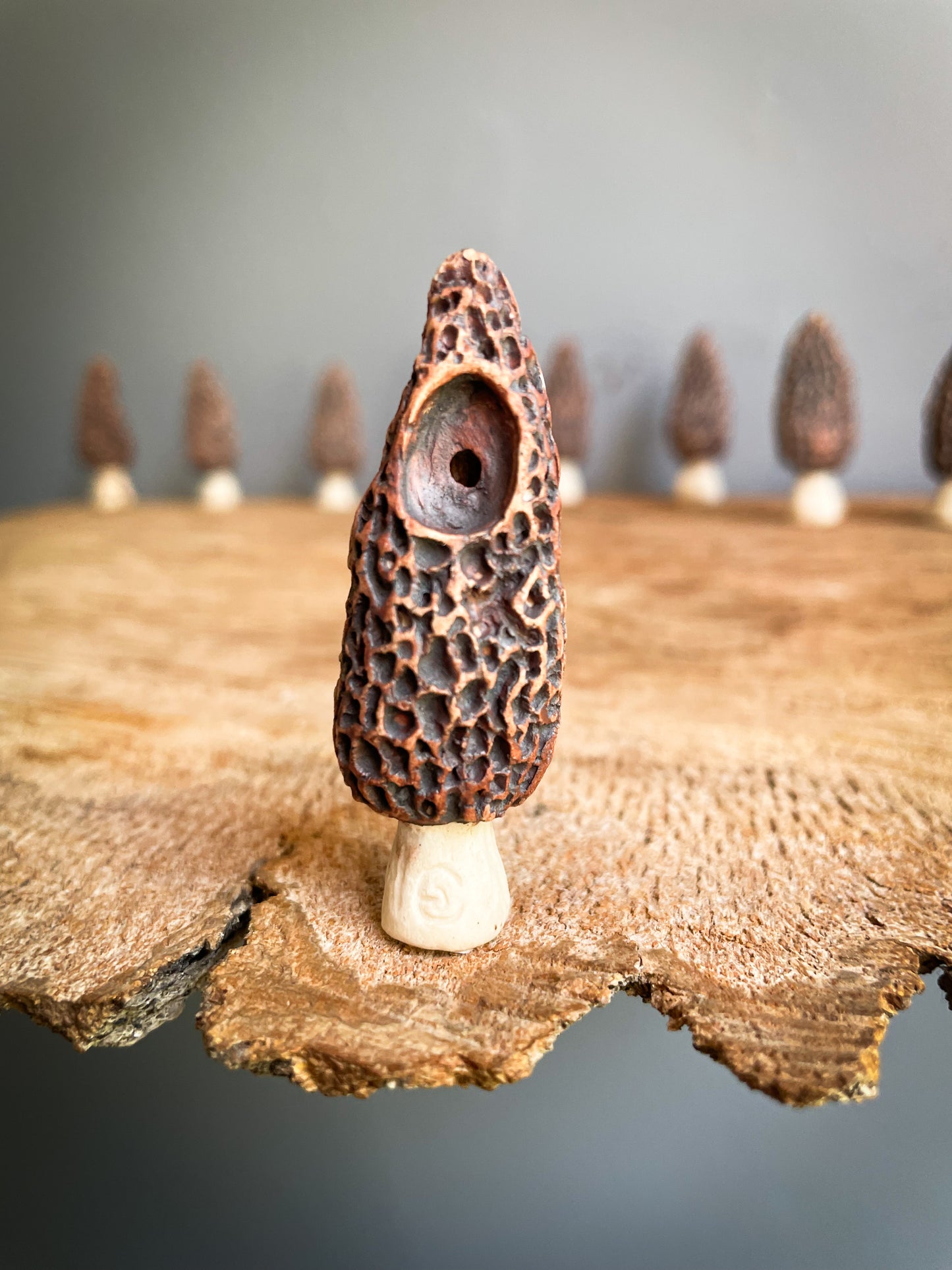 Small Morel mushroom pipe #7