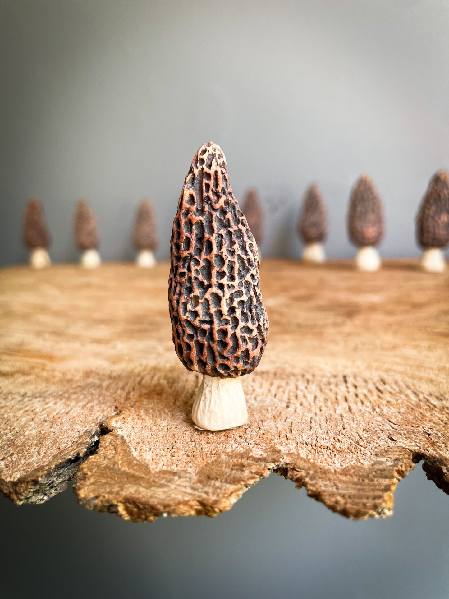 Small Morel mushroom pipe #7