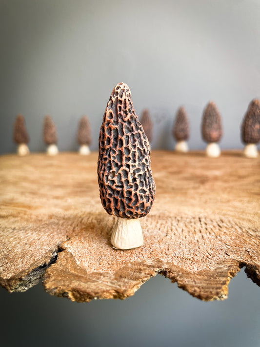 Small Morel mushroom pipe #7