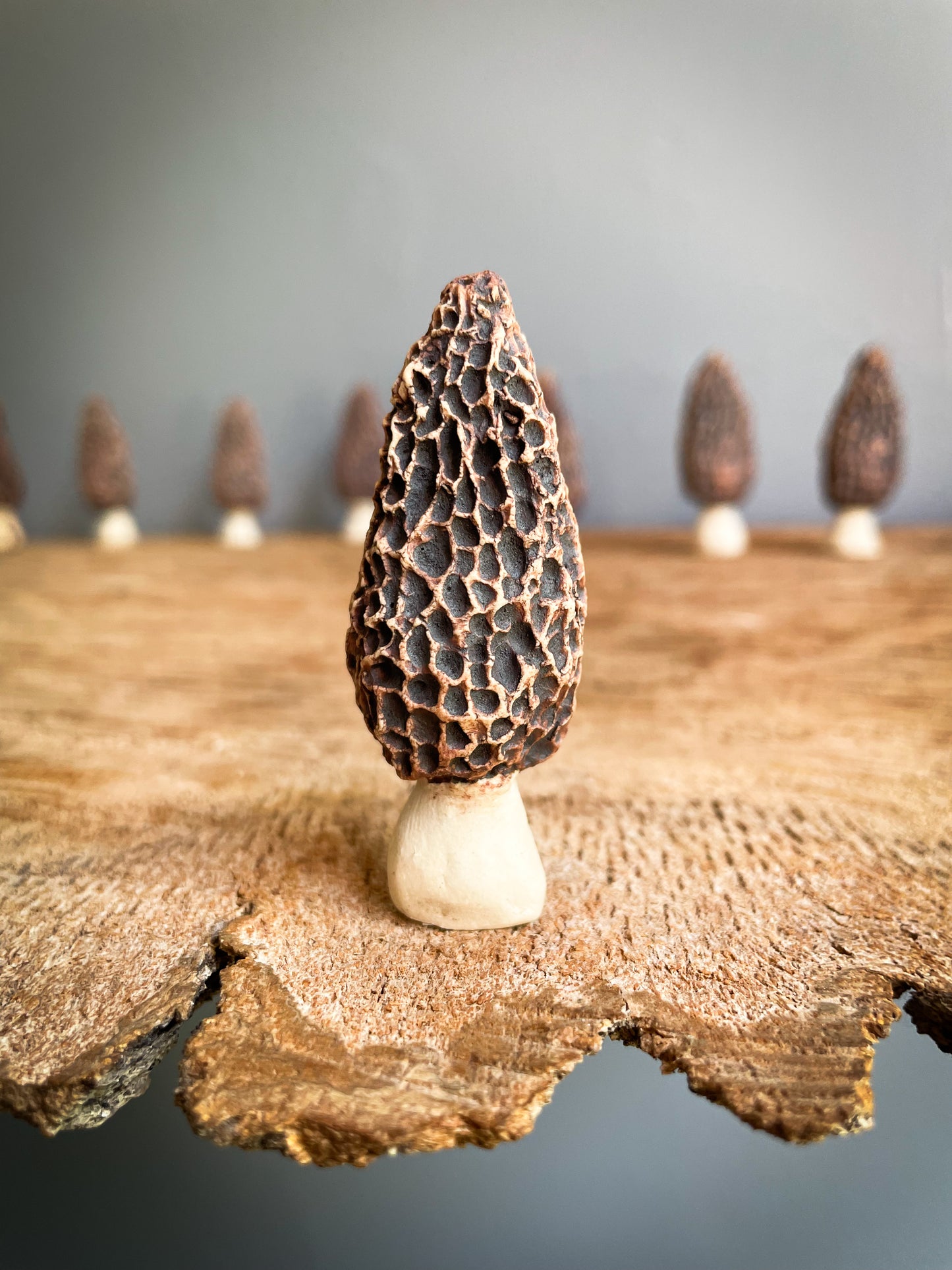 Small Morel mushroom pipe #6