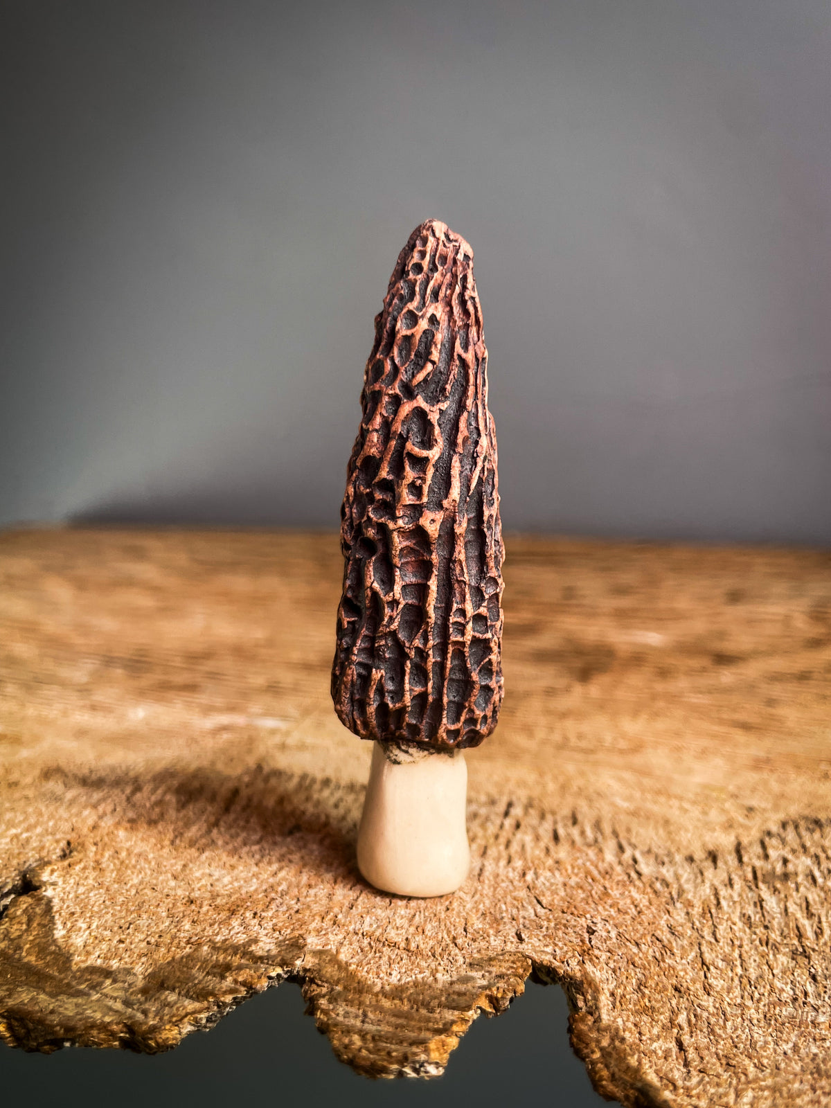 Small Morel mushroom pipe #9
