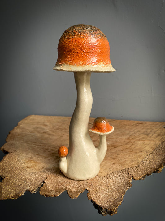 Golden teacher cubensis Spore Dispersal Incense Burner