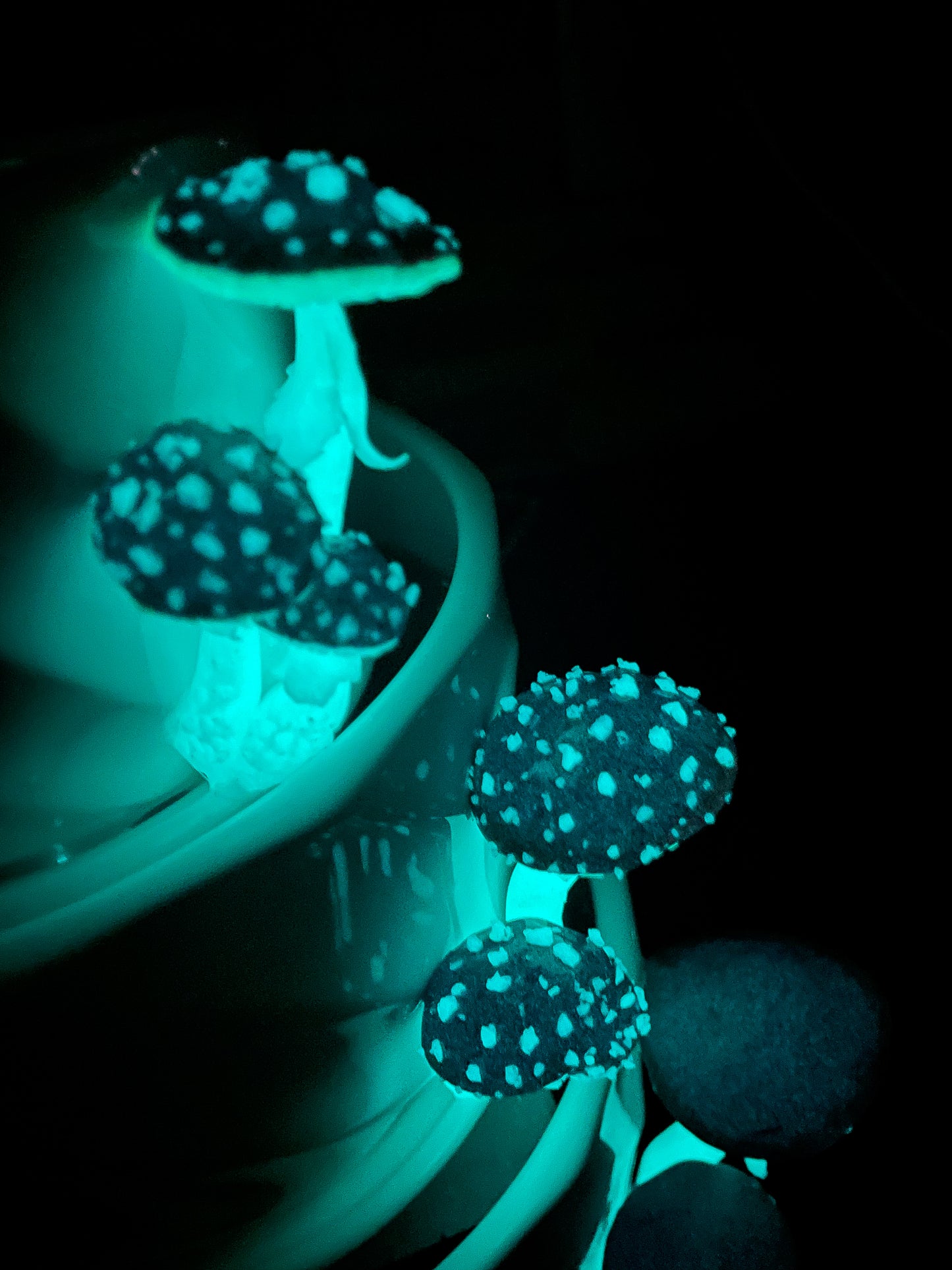 4 inch ceramic & polymer amanita GLOW in the dark Pot/planter