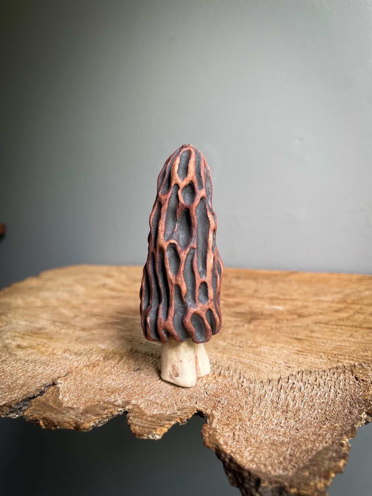 Small Morel mushroom pipe #5