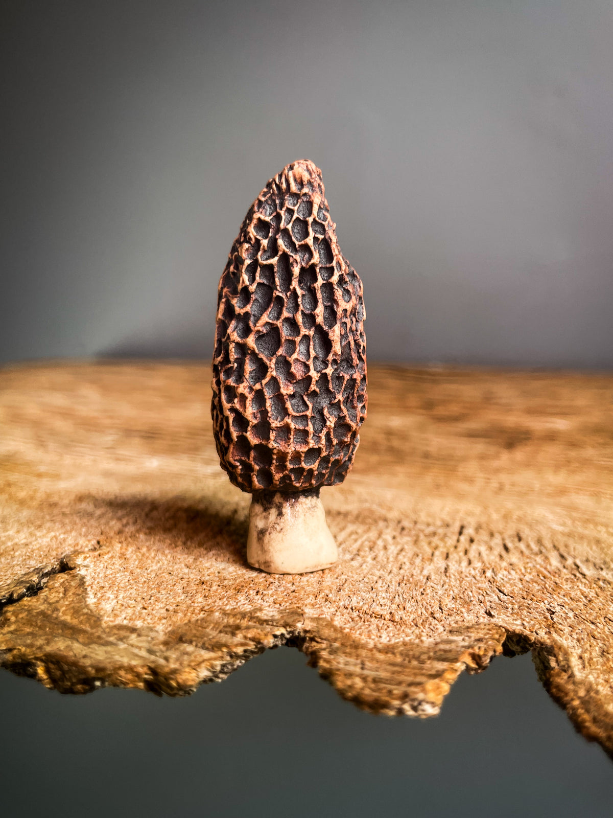 Small Morel mushroom pipe #3