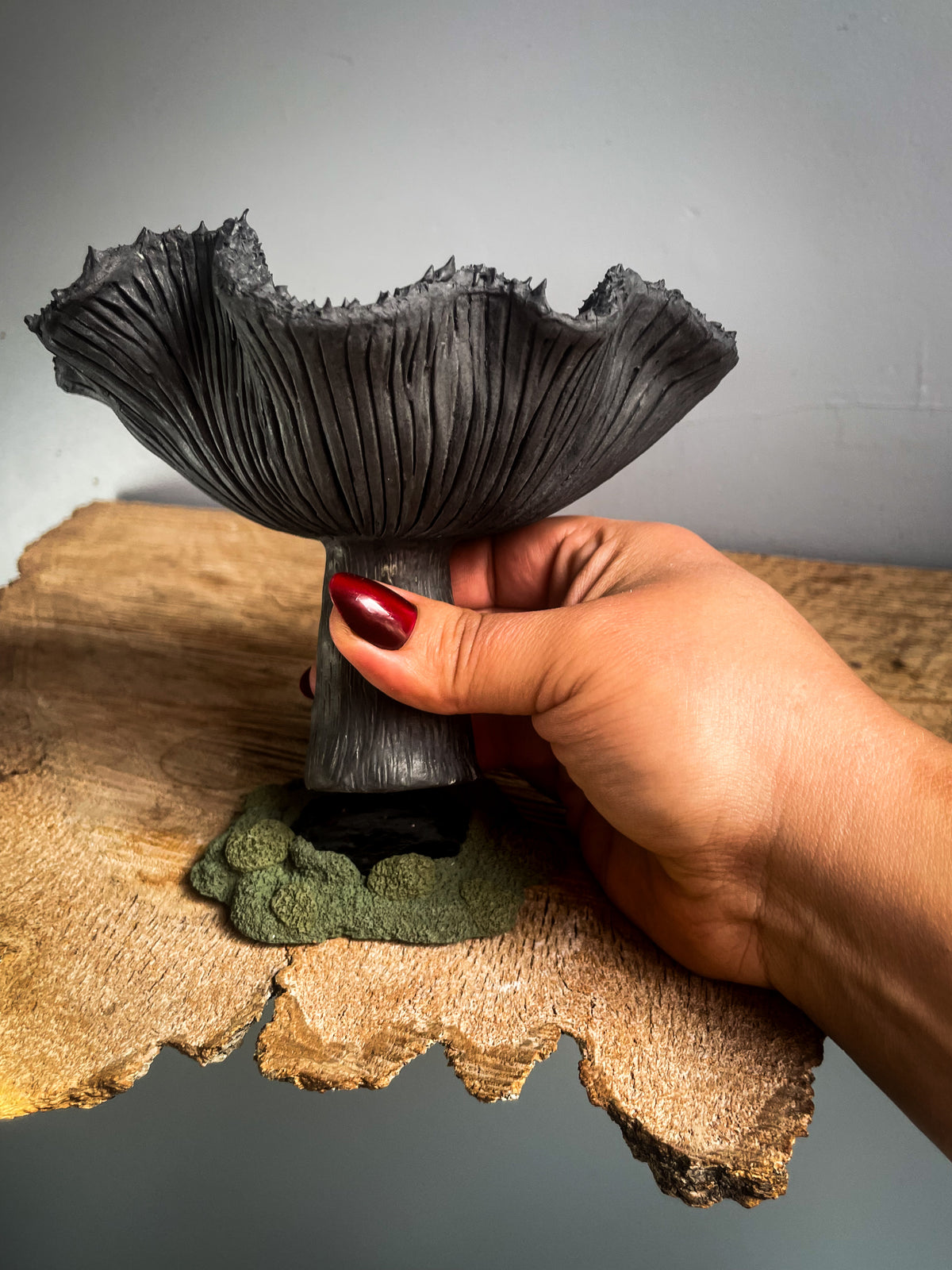 Enteloma Spore Dispersal Incense Burner