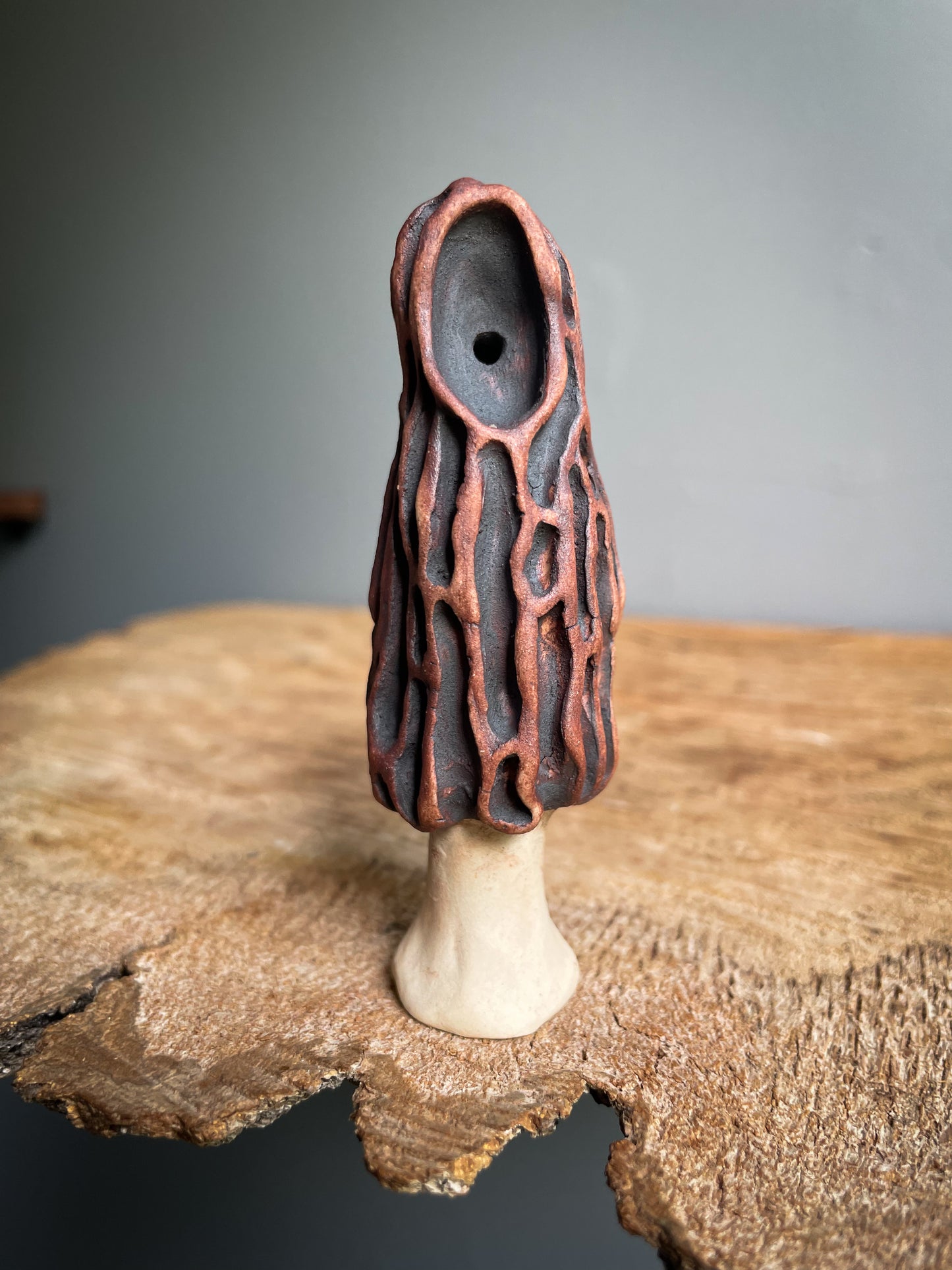 Small Morel mushroom pipe #4