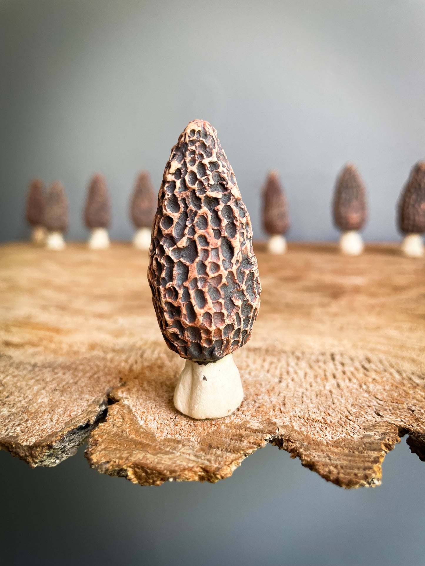 Small Morel mushroom pipe #2