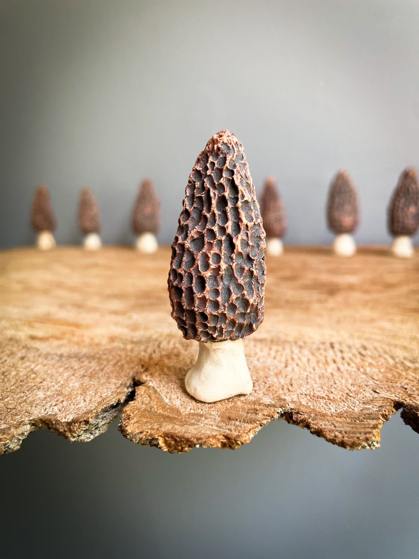 Small Morel mushroom pipe #4