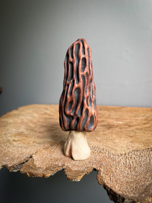 Small Morel mushroom pipe #6