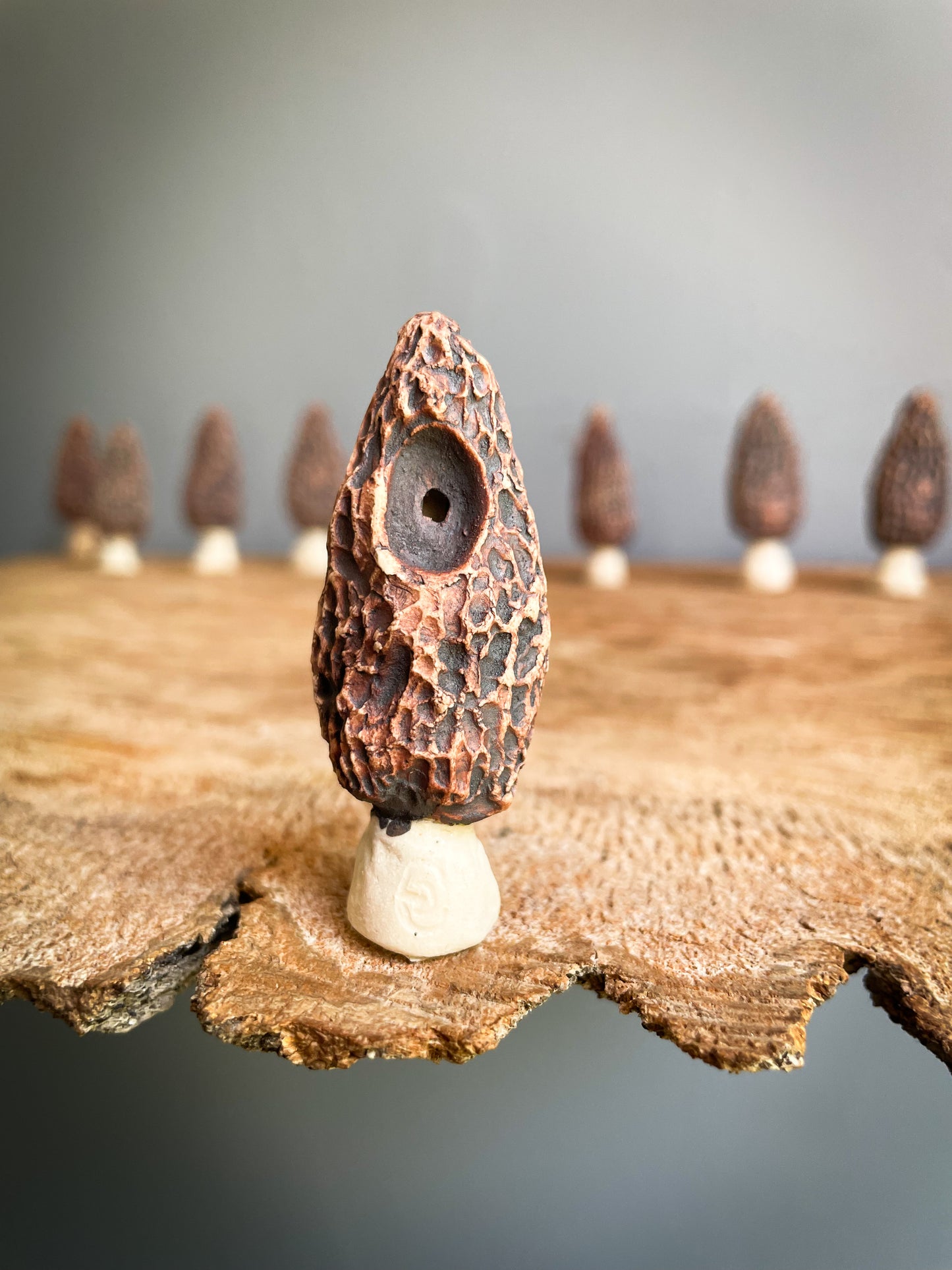 Small Morel mushroom pipe #2
