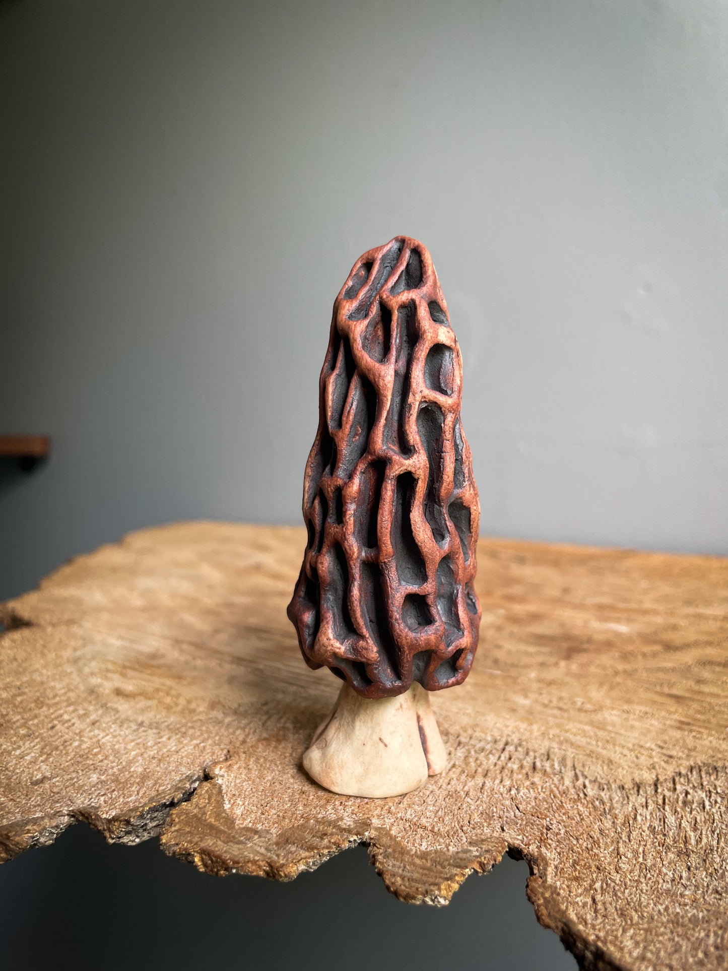 Small Morel mushroom pipe #7