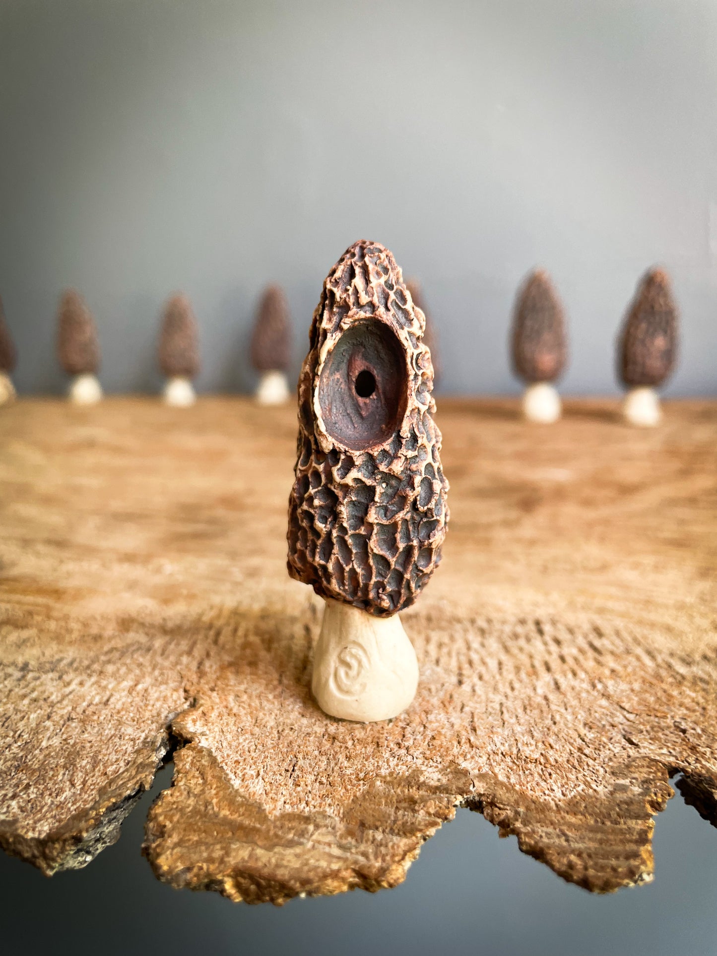 Small Morel mushroom pipe #6