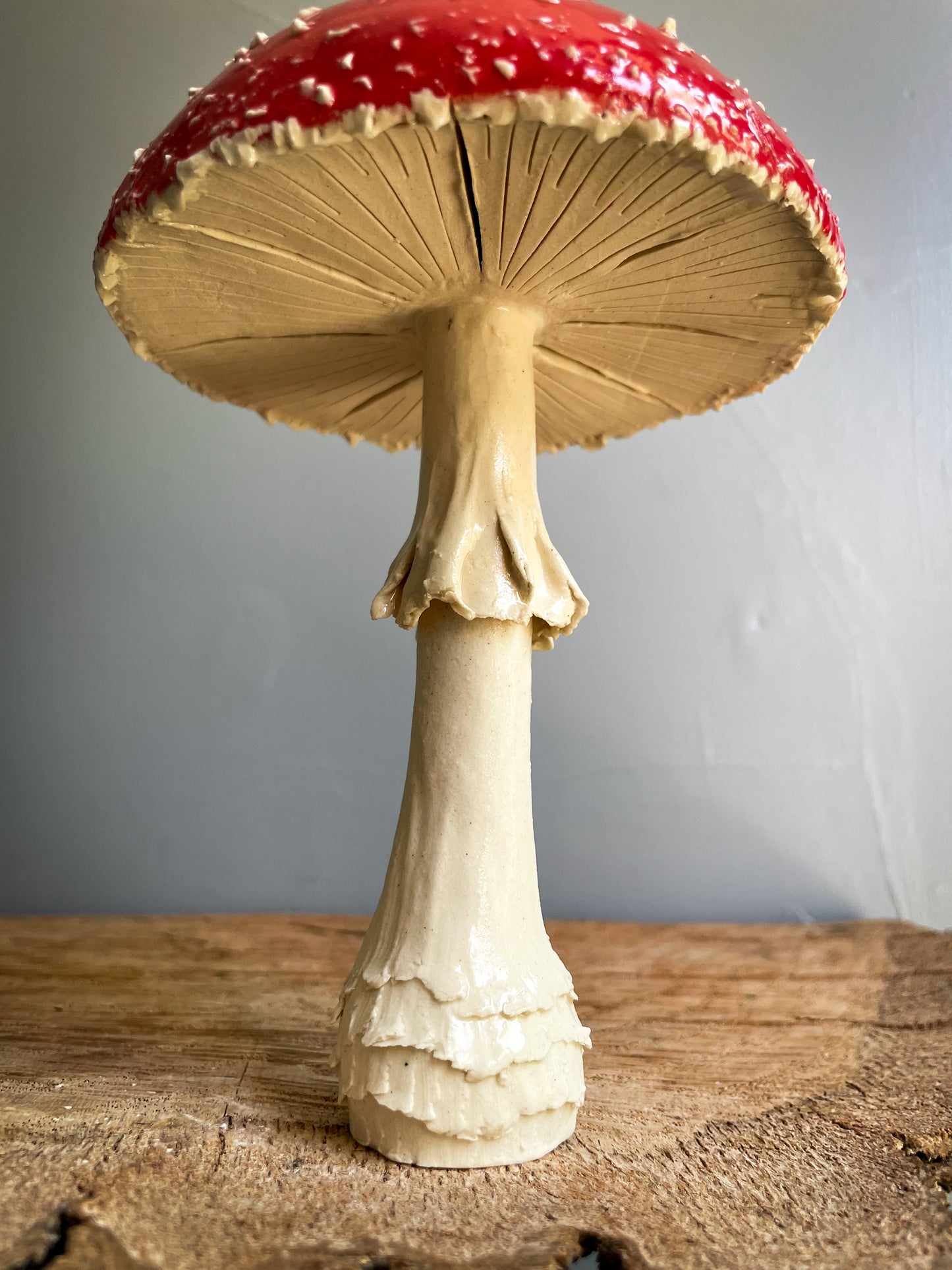 #5 Extra Large amanita muscaria mushroom Spore Dispersal Incense Burner