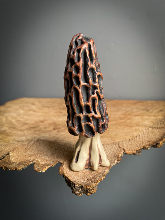Small Morel mushroom pipe. #2