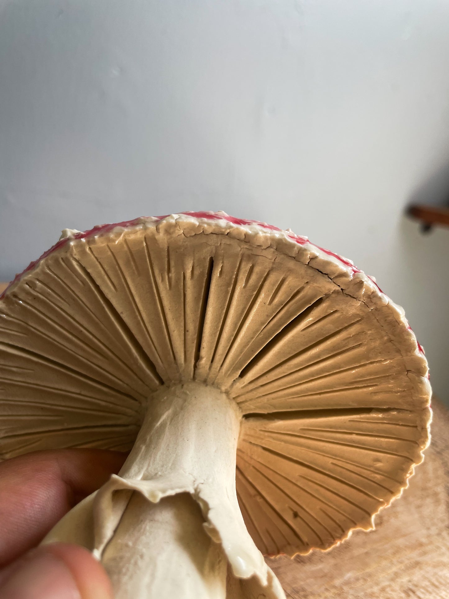 #9 large amanita muscaria mushroom Spore Dispersal Incense Burner ✨Second choice ✨