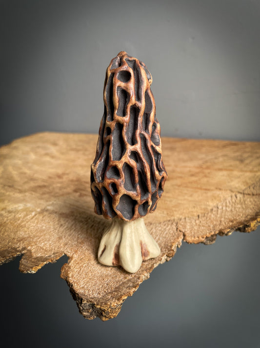 Small Morel mushroom pipe. #4