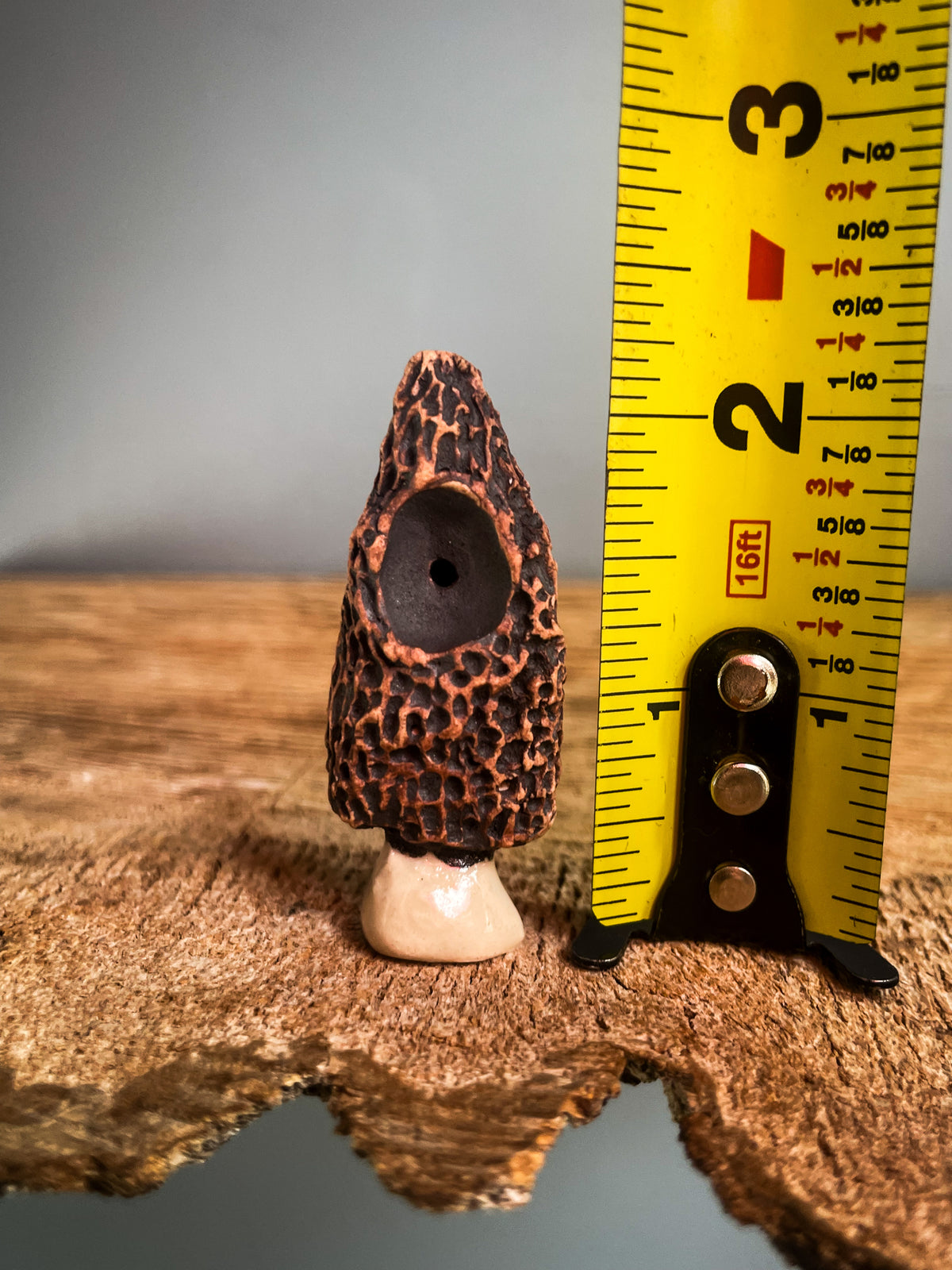 Small Morel mushroom pipe #1