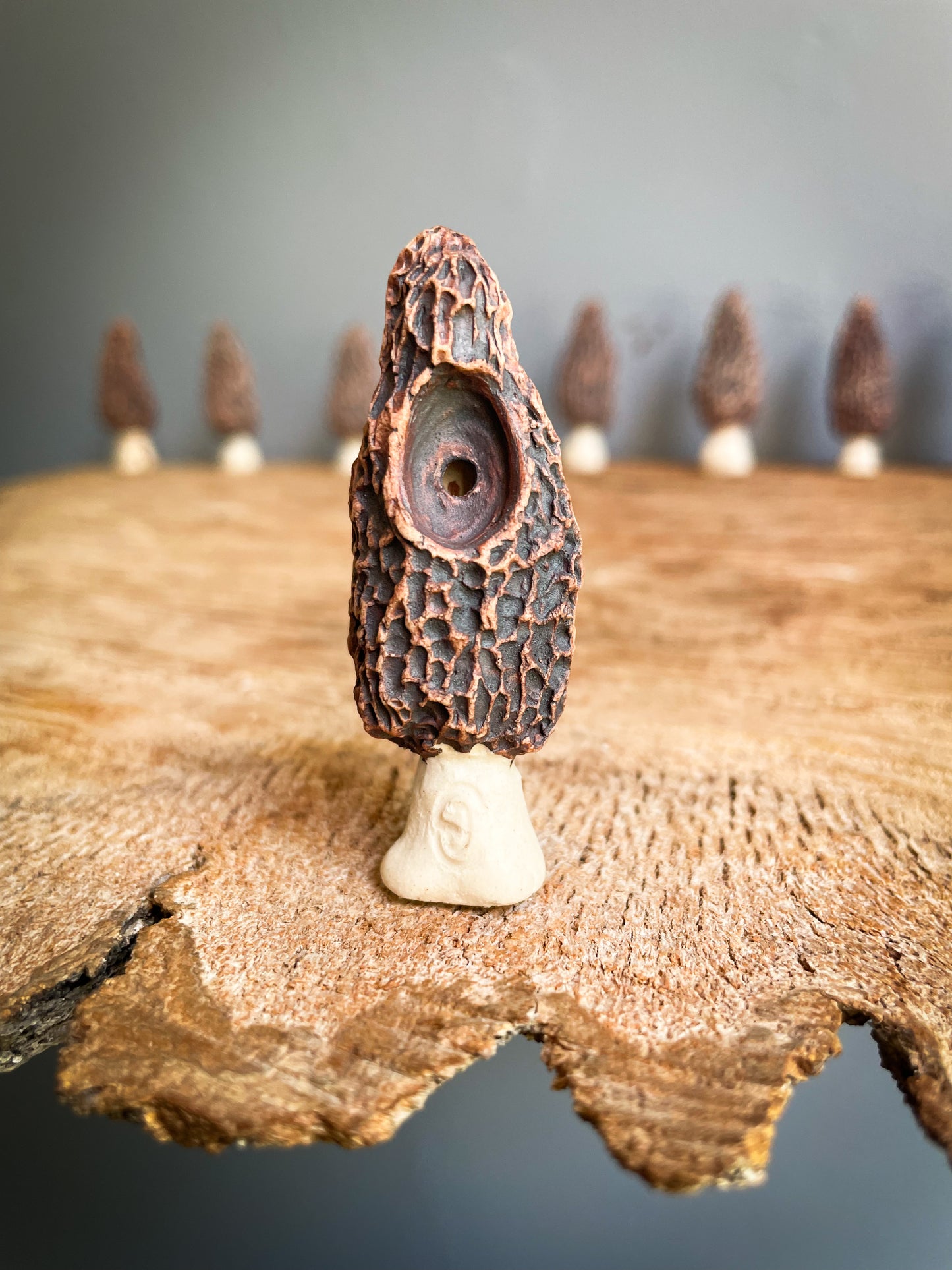 Small Morel mushroom pipe #9