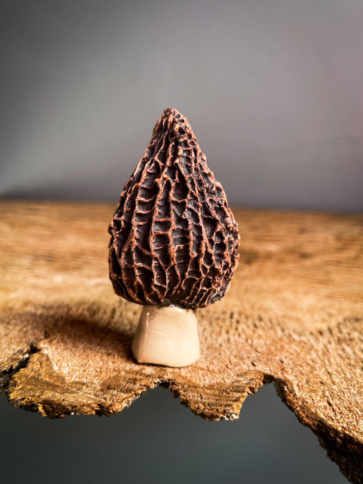 Small Morel mushroom pipe #8