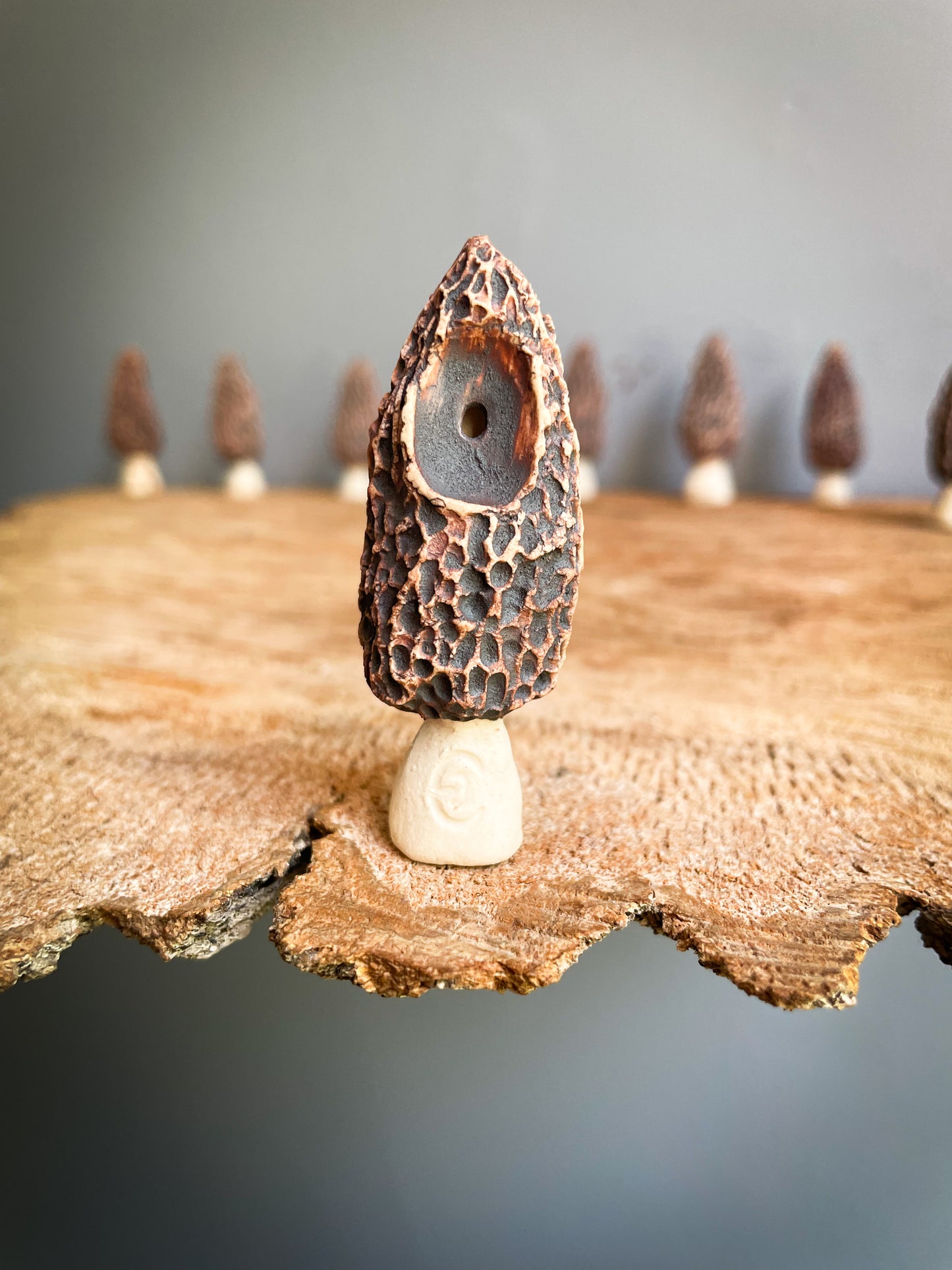 Small Morel mushroom pipe #8