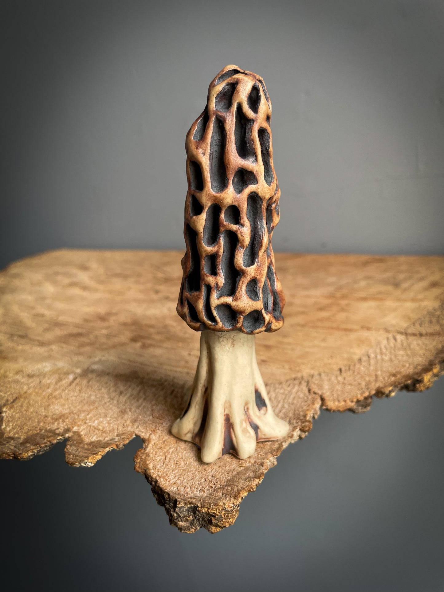 Small Morel mushroom pipe. #3