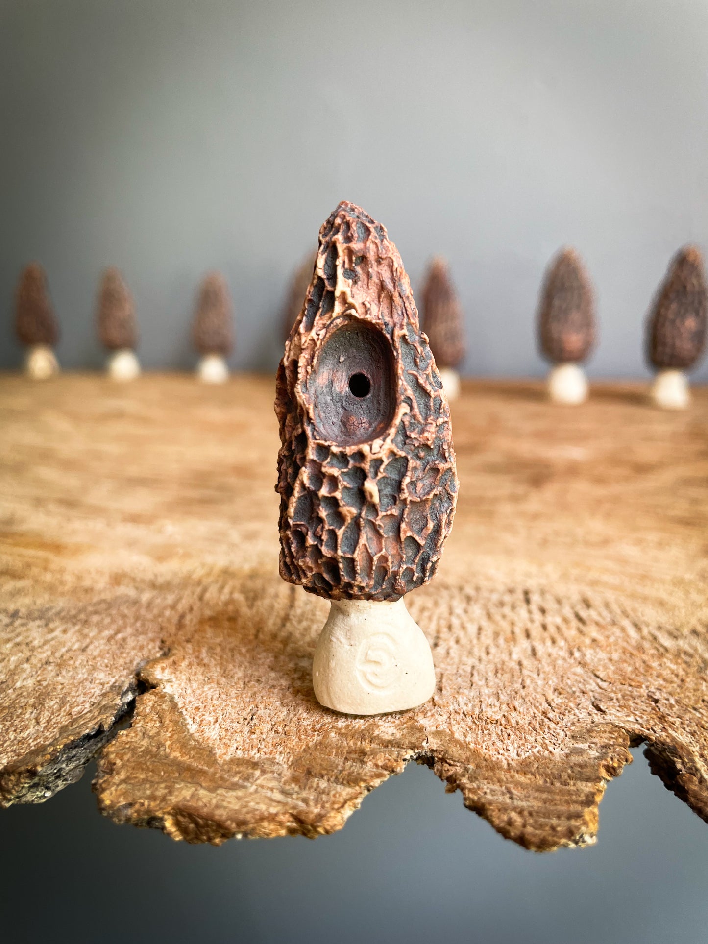 Small Morel mushroom pipe #5