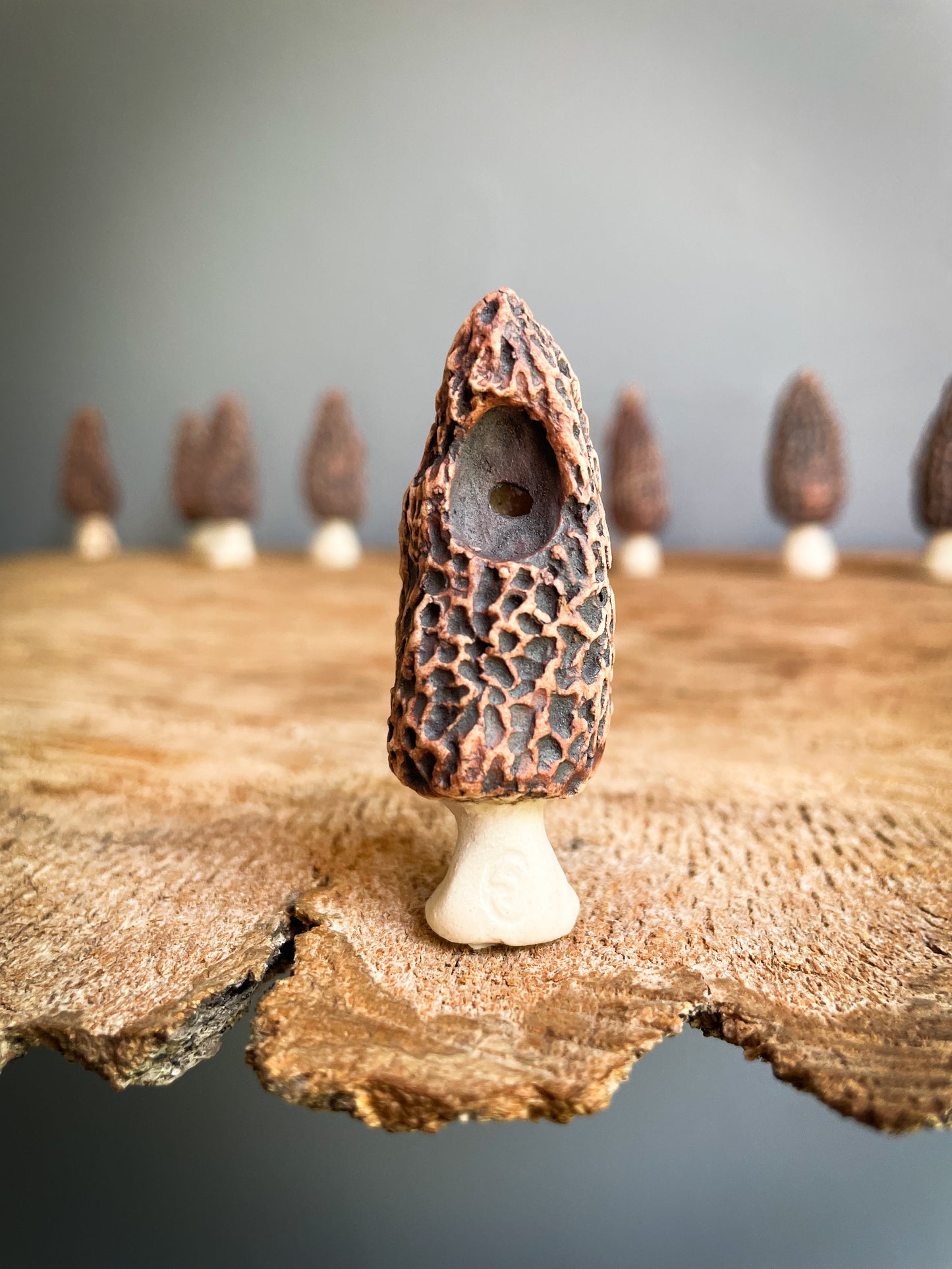 Small Morel mushroom pipe #3