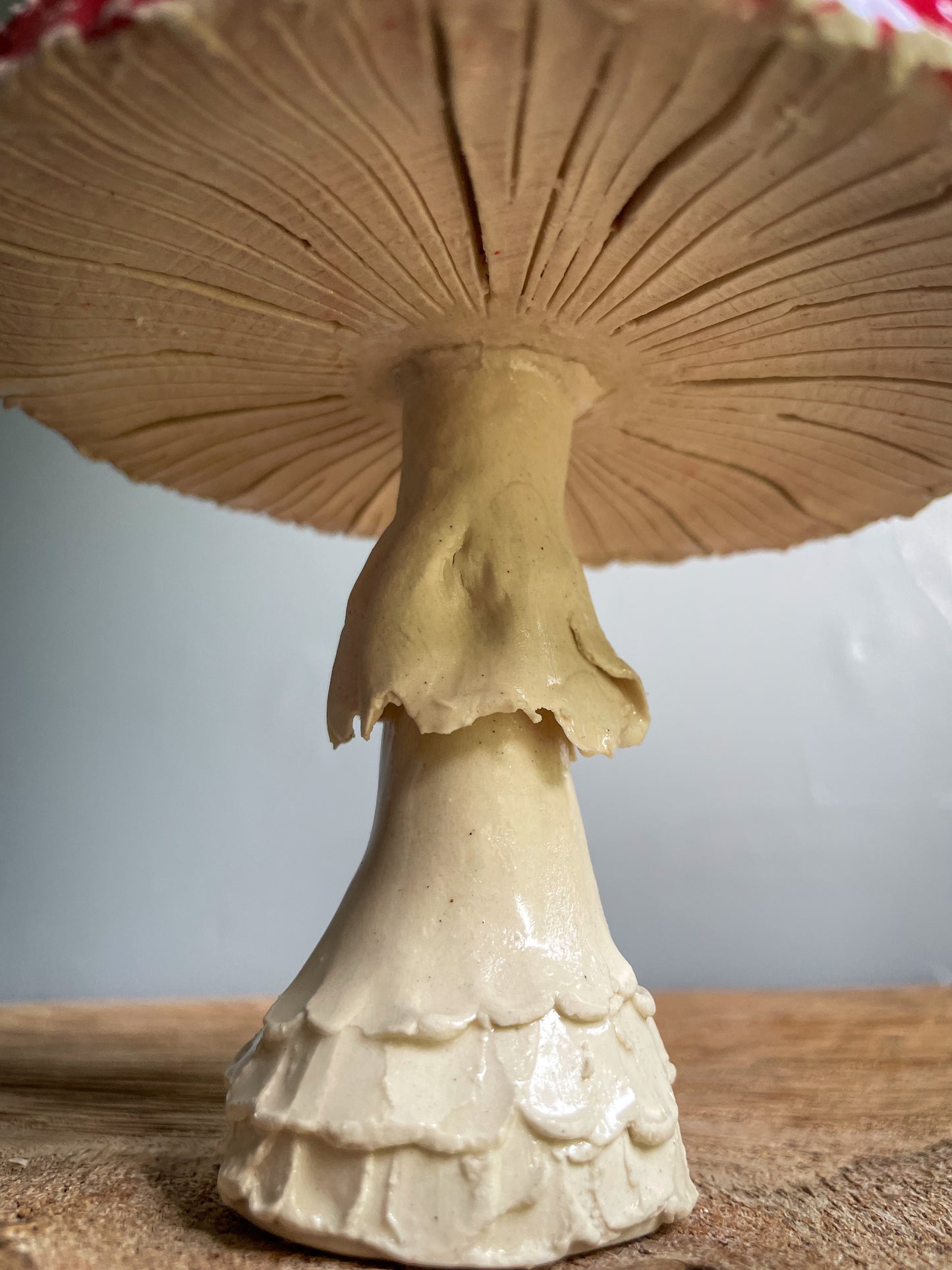 ✨Second choice ✨.                Large amanita muscaria mushroom Spore Dispersal Incense Burner #9
