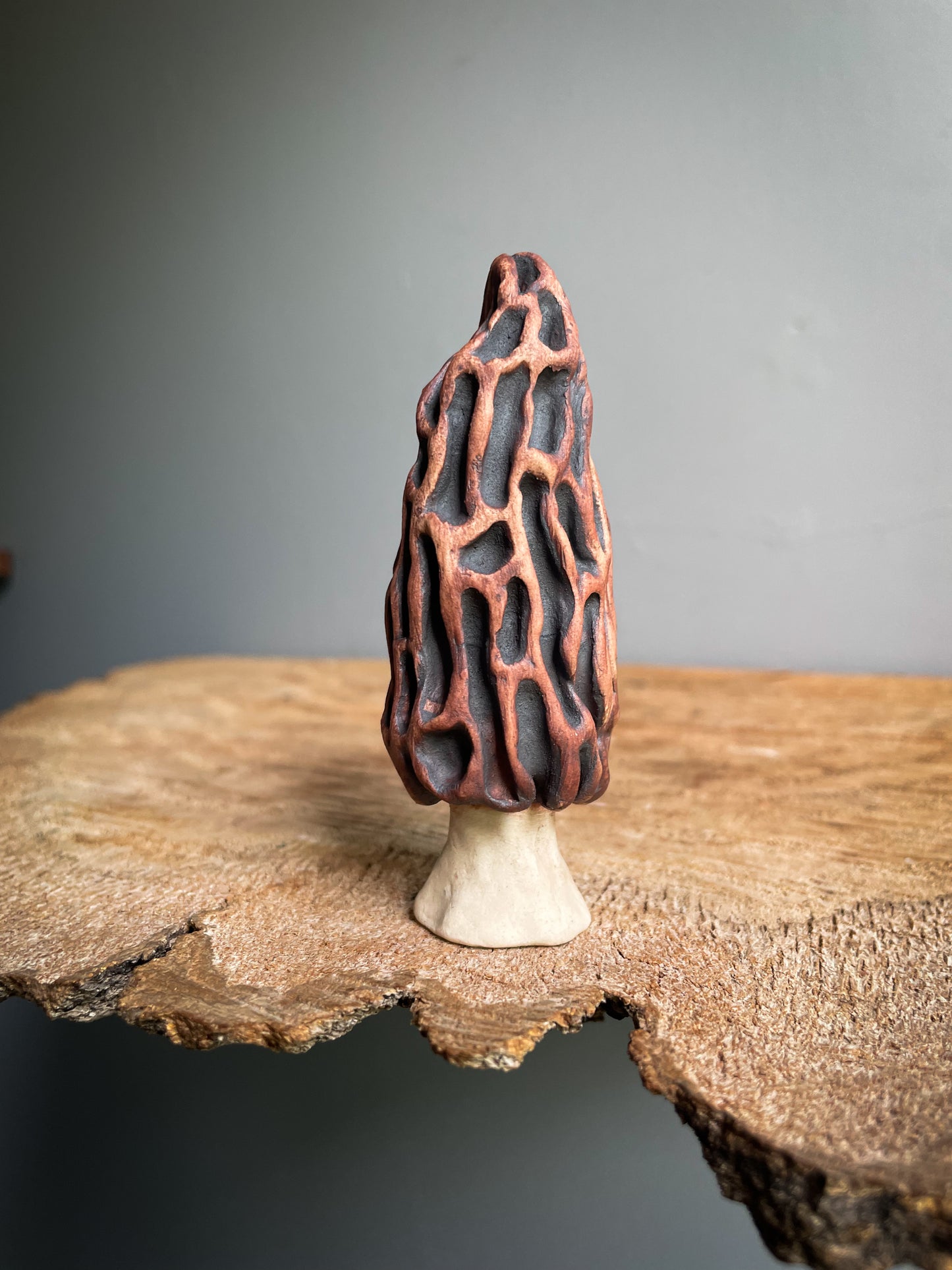 Small Morel mushroom pipe #2