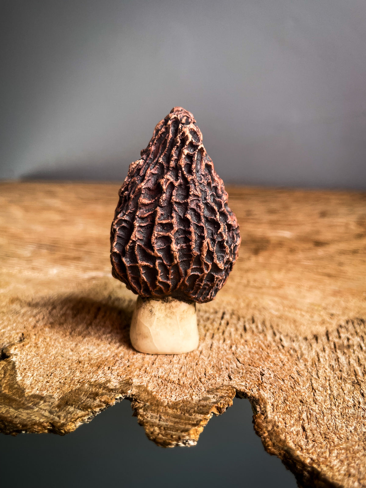 Small Morel mushroom pipe #6