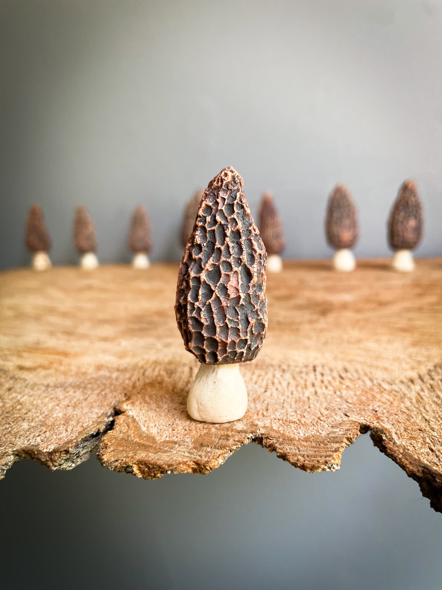 Small Morel mushroom pipe #5